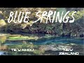 Blue Spring New Zealand 🇳🇿 | One of the Clearest Water Springs in the World | Mini Vlog