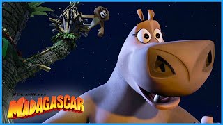 Melman on FIRE?! 🔥🦒 | DreamWorks Madagascar