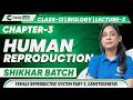 🌸 Class 12 Biology Chapter 3 Human Reproduction Lecture 3 Female System & Gametogenesis