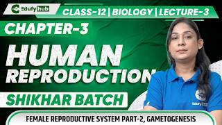 🌸 Class 12 Biology Chapter 3 Human Reproduction Lecture 3 Female System & Gametogenesis