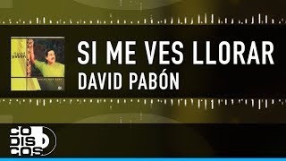 Video thumbnail of "Si Me Ves Llorar, David Pabón -  Video Letra"
