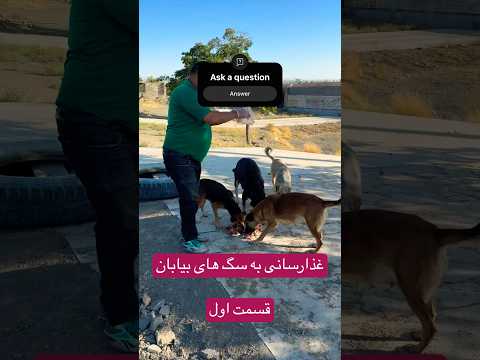 سگی که روزها چیزی نخورده بود دیدنش قلبمو شکست Shorts 