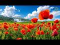 (No Ads) Spring Bloom 🌿 Music Therapy to Calm the Nervous System and Refresh the Soul, Relaxation