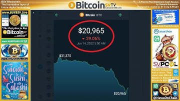 Michael Saylor Margin Call