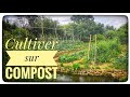 Cultures sur compost  avenir permaculture