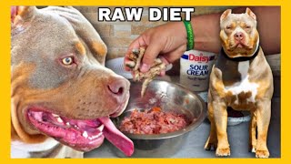 Top 5 Barf Diet Techniques for Muscle Building