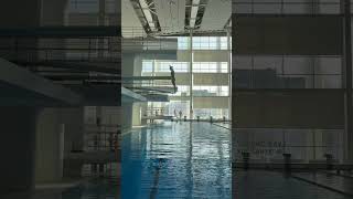 Prepare Like a Pro Before Every Springboard Dive