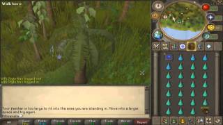 Runescape - Chinning Guide to 99 Range with Commentary 2011