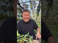 触れない？嗅がない？持ち込まない？