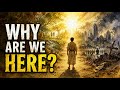 The Lost Purpose Of Humanity