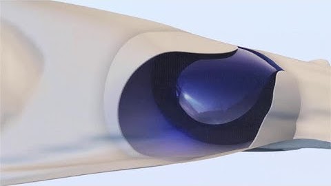 Creating a Seamless Looping Flag Animation in Cinema 4D