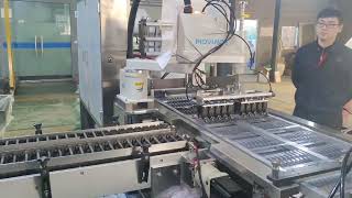 Automatic Vertical Form Fill Seal Screw Bolt Hex Nut Counting Packing Machine
