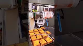 Horizontal flow wrapper, bread, cake, biscuit packaging machine, flow-pack, pillow packaging machine