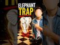 Everyone Falls for This Trap 🐘 #shorts #chess