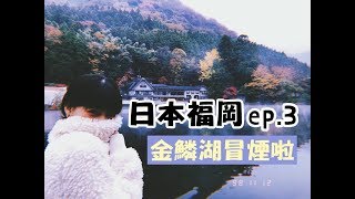 【日本福岡ep.3】金鱗湖底根本會冒出田馥甄