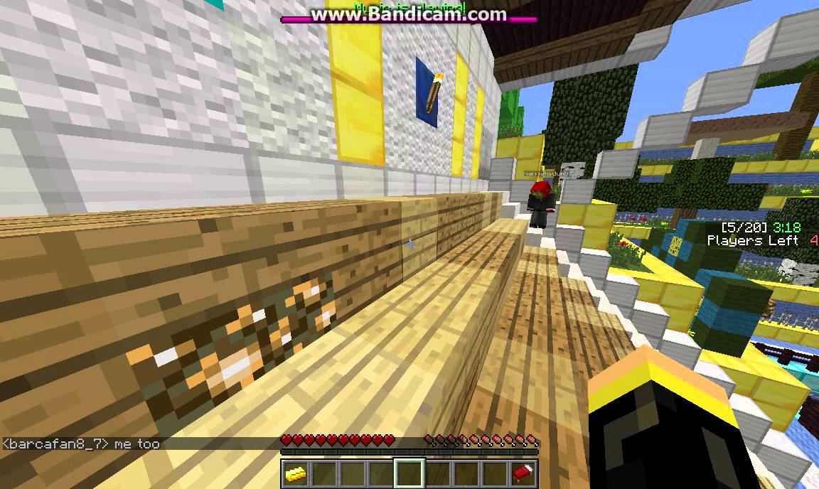 Minecraft MARIO PARTY! part 1