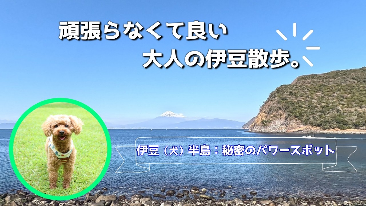 【４K  :  伊豆半島Vlog】こんな神秘的な場所が有るなんて知らなった。５年目で初めて知ったこの絶景・絶品グルメ・リベンジ達成！