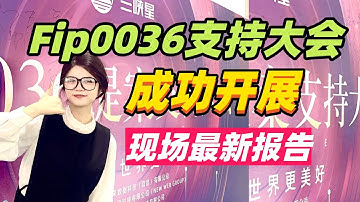 #Web3/IPFS/Filecoin现场最新报告 fip0036支持大会成功开展