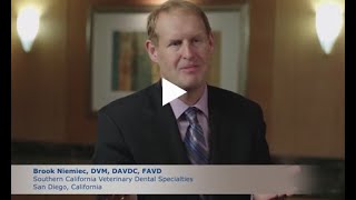 The Importance of Pet Dental Health by Virbac US 346 views 3 years ago 1 minute, 19 seconds