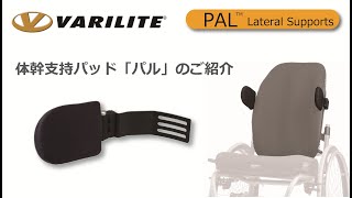 車椅子バリライトアイコンバックサポートトールサイズ:12(30cm)