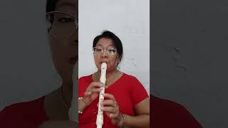 El Grito, música guatemalteca en flauta dulce