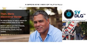 A Birds Eye View of NLP & NLU