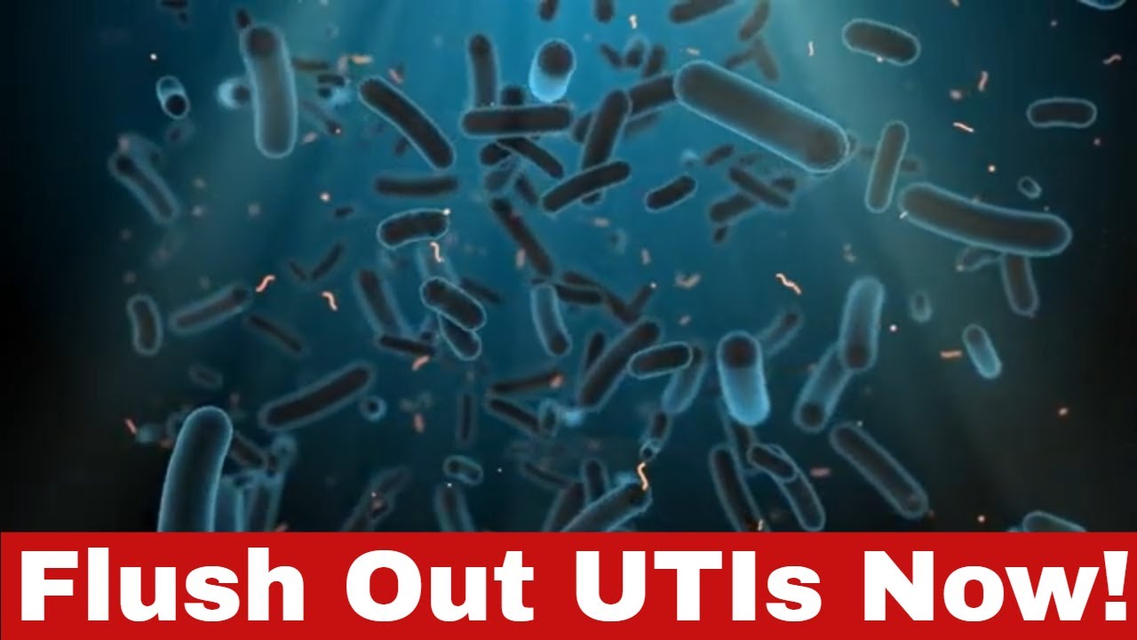 Flush it Away How to Get Rid of a UTI Fast! YouTube