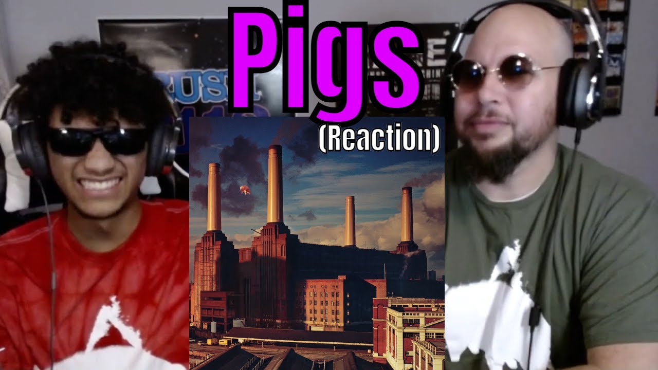 Pink Floyd - Pigs (Three Different Ones) Reaction