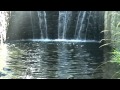 ASMR Relaxing Nature Sound of Waterfall - 30 minutes