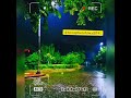 koi to rah wo hogi song|❤️😘 barish best seen| night barish status 🌃🌉| marjwaan movie songs jaipur ⛈️
