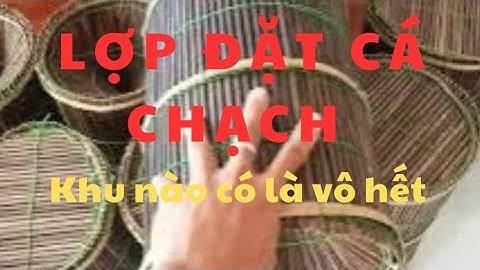 Lợp đặt cá chạch - dành cho ai muốn đặt cá chạch , lươn,cua đồng,cá lăng ll Zalo 0364117809