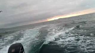 Sea Trial 20111219 162220.mp4