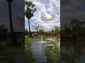 Best village Water Pass Agriculture Street வயலில் அருவி போல சென்ற நீர்.!!!