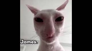 I Escaped Evil Larry And This Happened