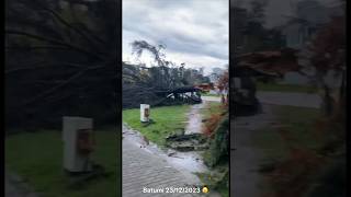 Шторм и сильный ураган в Грузии, город Батуми 23/12/2023  #shorts #video #new #hurricane #cataclysms