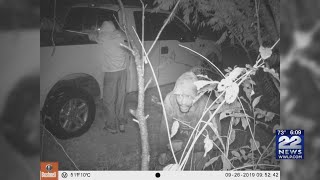 Hadley Police investigating recent hemp thefts