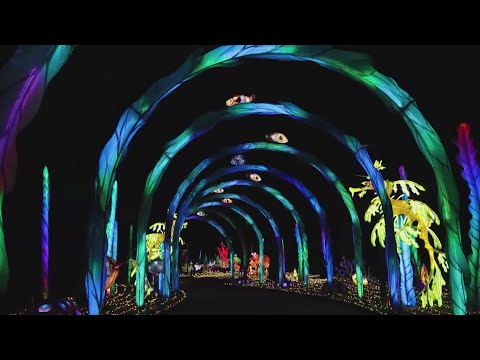 Cleveland Metroparks Zoo extends 2025 Asian Lantern Festival