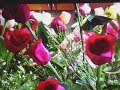 Ky Rose Florist Paducah Garden