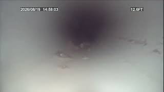 Full 844 Woods, Warman, August 19th 2026 News