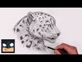 How to draw snow leopard  youtube studio sketch tutorial
