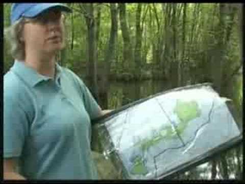 Sam Park and Michelle Harrison Clear Cut Vernal Pond