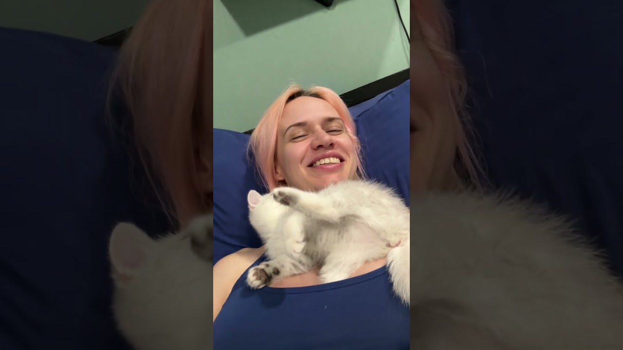 Чистюля котенок 