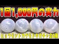【ガチャガチャ】1回1,000円の実力『いきもの大図鑑アドバンス ヒョウモントカゲモドキ』全4種 開封レビュー Capsule Toys【おもちゃ】19箇所可動 全長約170mm プレミアムガシャポン