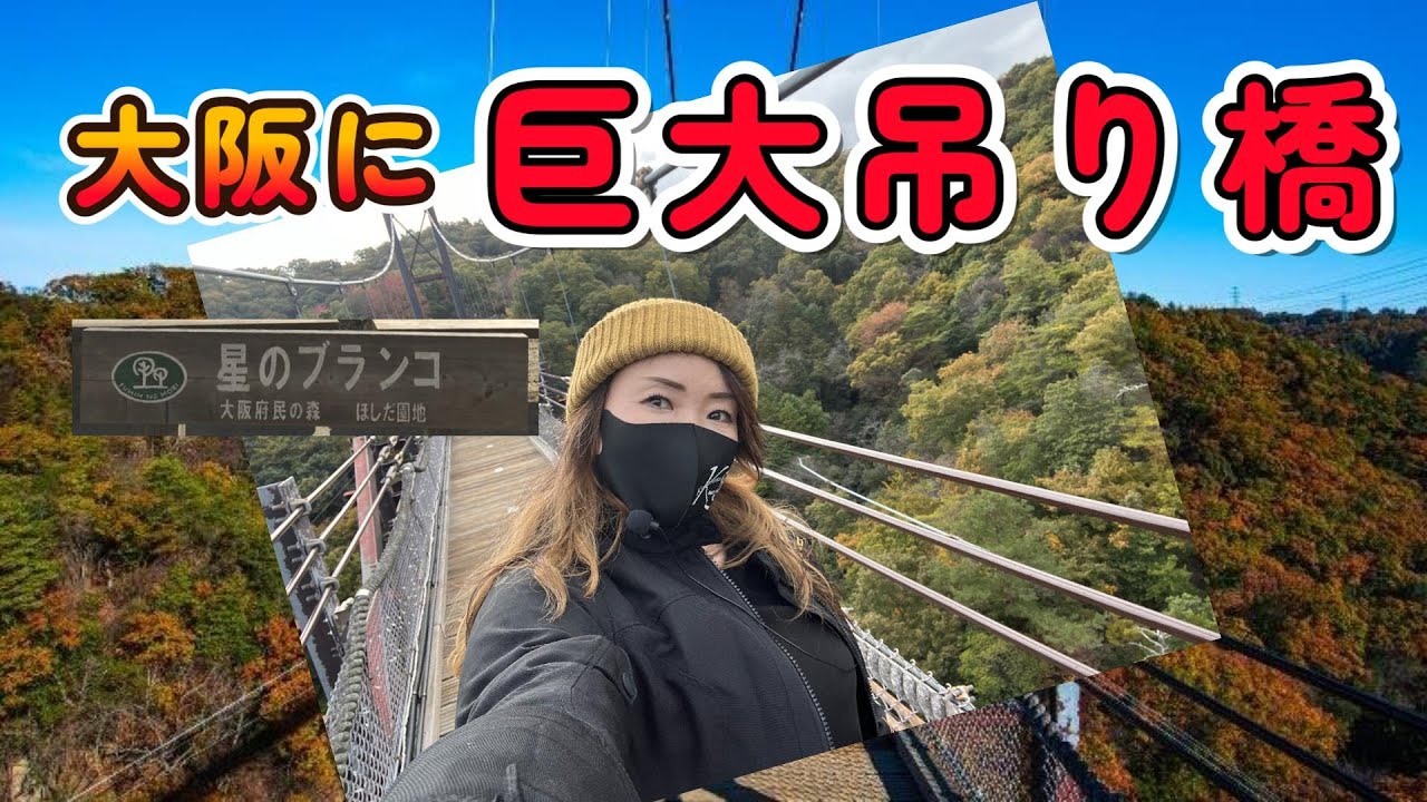 「絶景・星のブランコ」最大級の吊り橋が大阪に！紅葉も最高【バイク女子】