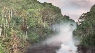 Melanie Mccollin-Walker, The World Is Quiet Now, 137Cm X 168Cm Acrylics On Belgian Linen