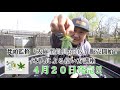 梵頭監修『大麻型釣具getty』販売開始！/本人による使い方講座