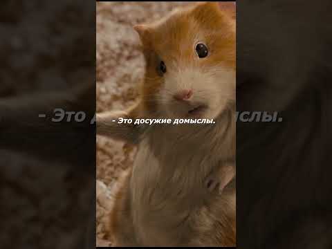 Мыши всегда поддакивают | Фильм: Миссия Дарвина / G-Force #фильмы #кино #shorts