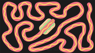 5 Minute Hotdog 🌭 Timer