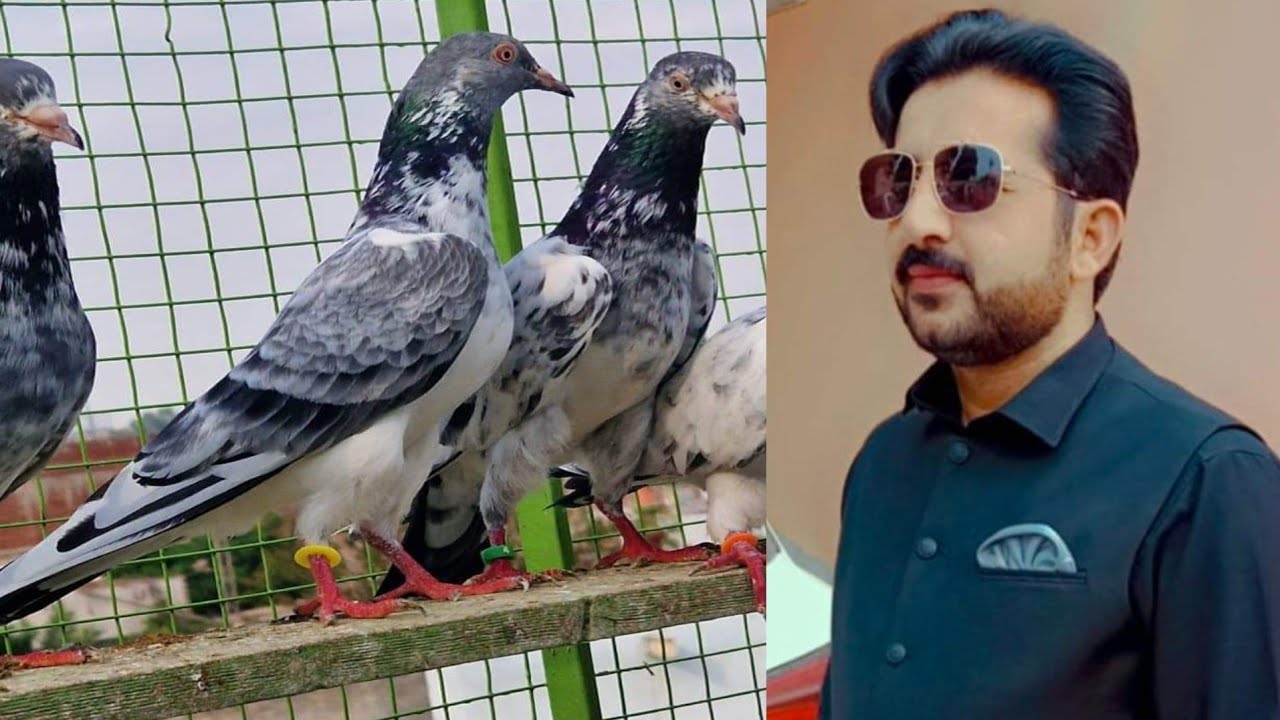 Ustad Aqeel of faisalabad ki chat se shoq YouTube