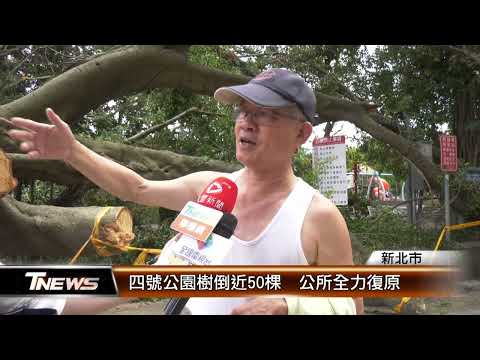 四號公園樹倒近50棵 公所全力復原│T-NEWS聯播網